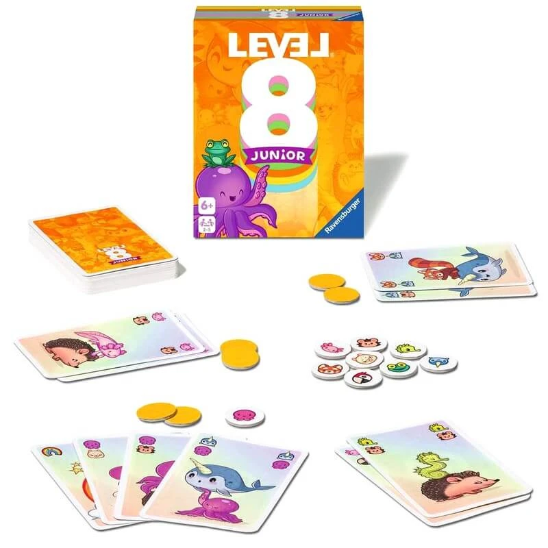 Level 8 Junior – Image 3