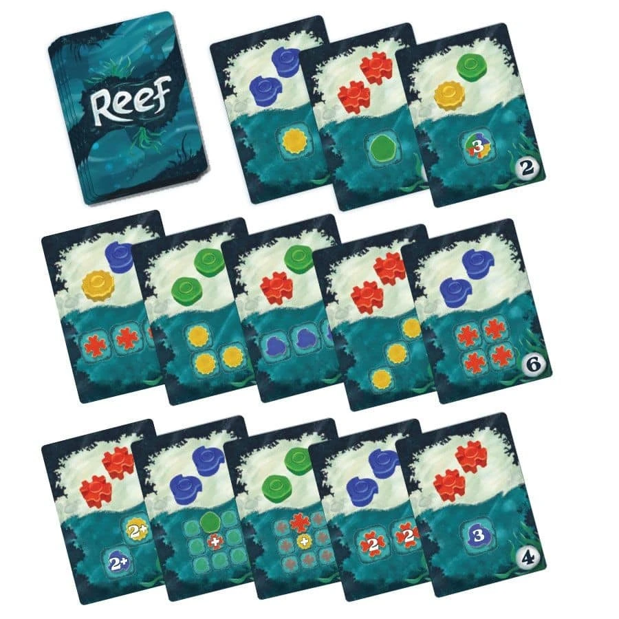 Reef – Image 4