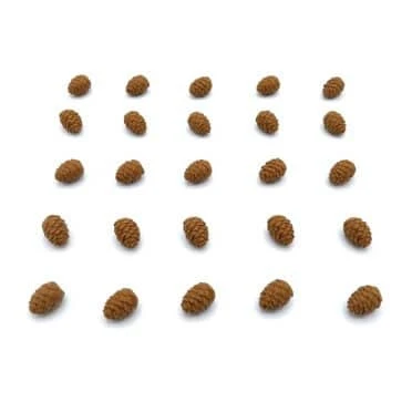 Upgrade Kit Cascadia